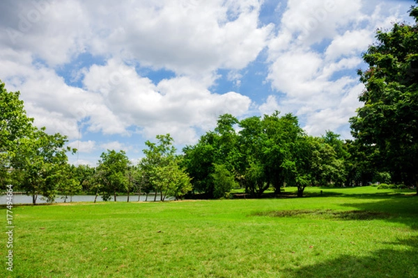 Obraz Green Park. Green Park in Urban City at Cloudy, excercise and relax