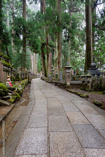 Fototapeta It is considered the largest cemetery in Japan, with more than two hundred thousand graves and memorial monuments. It is located on the sacred Mt. Koya and is immersed in a forest of tall conifers.