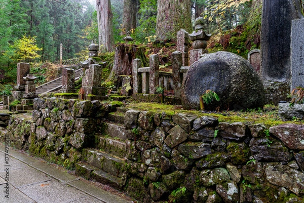 Fototapeta It is considered the largest cemetery in Japan, with more than two hundred thousand graves and memorial monuments. It is located on the sacred Mt. Koya and is immersed in a forest of tall conifers.