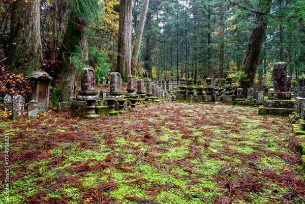 Fototapeta It is considered the largest cemetery in Japan, with more than two hundred thousand graves and memorial monuments. It is located on the sacred Mt. Koya and is immersed in a forest of tall conifers.