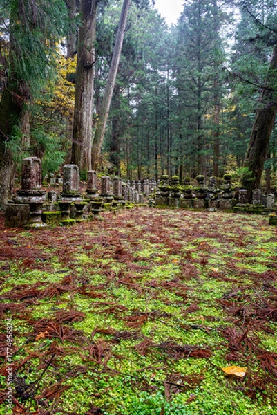 Fototapeta It is considered the largest cemetery in Japan, with more than two hundred thousand graves and memorial monuments. It is located on the sacred Mt. Koya and is immersed in a forest of tall conifers.