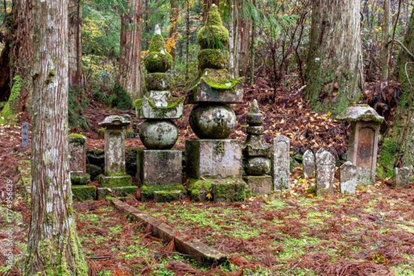 Fototapeta It is considered the largest cemetery in Japan, with more than two hundred thousand graves and memorial monuments. It is located on the sacred Mt. Koya and is immersed in a forest of tall conifers.