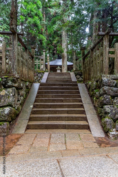 Fototapeta It is considered the largest cemetery in Japan, with more than two hundred thousand graves and memorial monuments. It is located on the sacred Mt. Koya and is immersed in a forest of tall conifers.