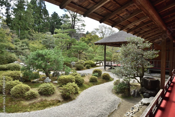 Obraz 曼殊院　小書院から見る書院庭園(京都市左京区)