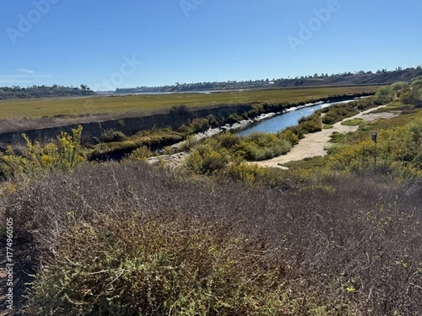 Obraz Narrow Brackish Waterway: A small, winding channel of brackish water flowing through a marsh or estuary environment.