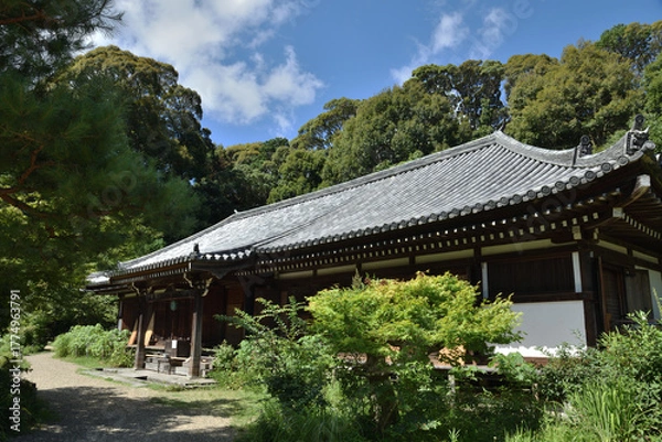 Obraz 浄瑠璃寺　本堂(京都府木津川市)