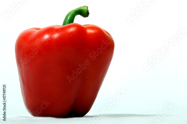 Obraz Roter Paprika