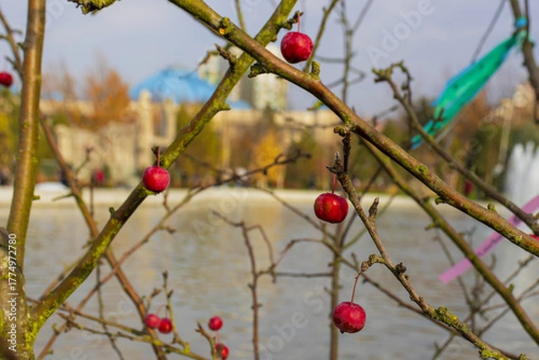 Fototapeta 27 October 2025 Almatys new park, built on the site of the former presidential residence, Almaty City, Kazakhstan