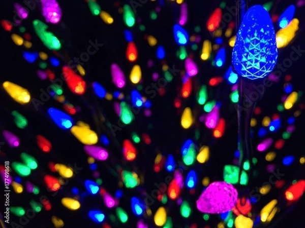 Obraz Bright Christmas Lights. More Christmas Lights. Colorful and bright Christmas lights for the season. Close up of light on a branch. Christmas season is here.  Getting into the sprit of the holidays.