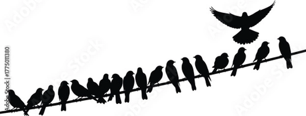 Obraz A flock of silhouette birds perched on a wire with one bird flying above in a clear sky