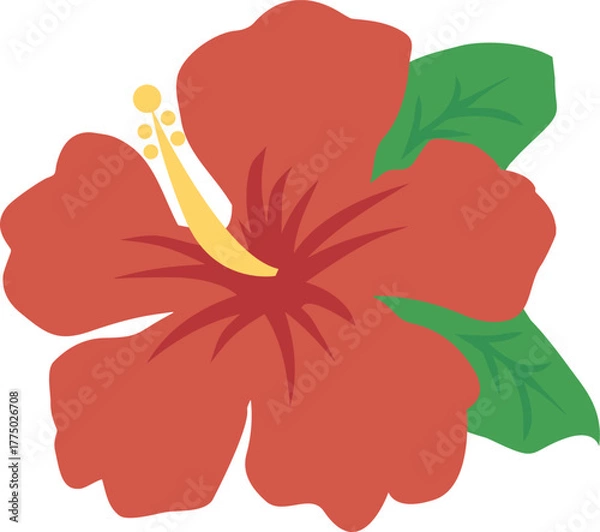 Obraz ハイビスカス