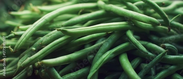 Fototapeta The Green Beans Pile Fresh Organic Produce Closeup Texture for Healthy Cooking