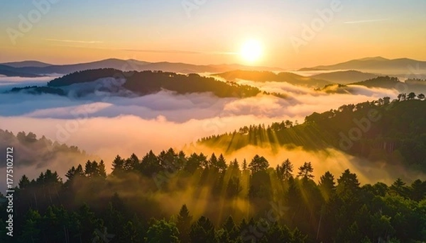 Fototapeta Golden sun rises over misty forested mountains, casting ethereal light across tranquil valleys.