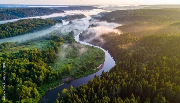 Fototapeta A winding river flows through misty forested hills, glowing softly in golden morning light.