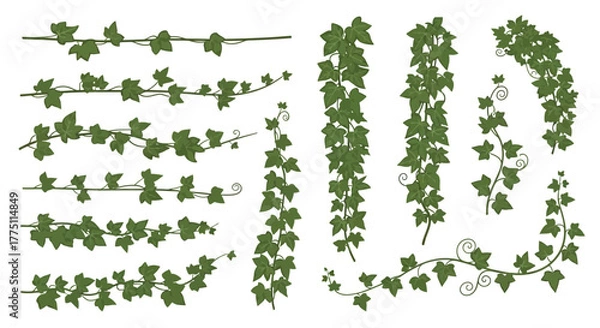 Obraz green grass isolated on white