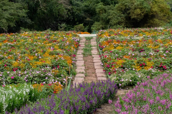 Obraz Agriculture, Color Image, Community Garden, Cultivated, Environment