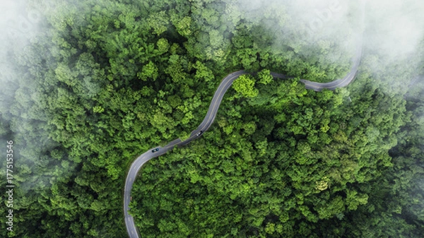 Fototapeta Aerial view of a winding road curving through lush green tropical forest with misty atmosphere. Scenic mountain highway surrounded by dense jungle and natural landscape.