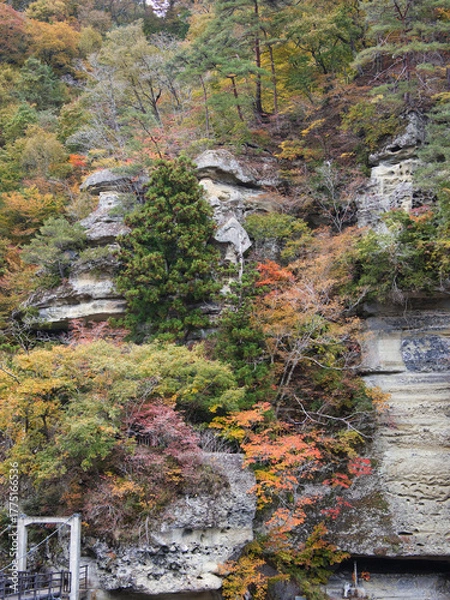 Obraz 塔のへつりの紅葉