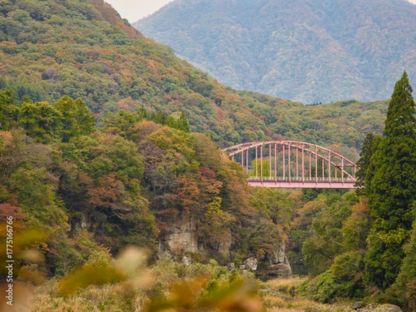 Obraz 塔のへつりの紅葉