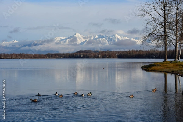 Fototapeta Snowy mountains form the backdrop for Wasilla 
Lake, Alaska.