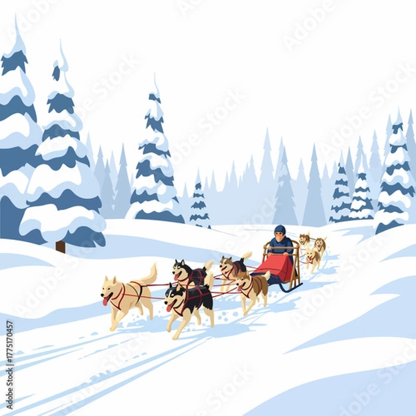 Fototapeta Illustration man sledding with husky dogs through snowy winter landscape