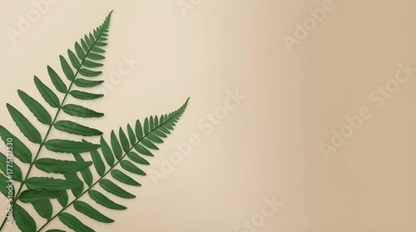 Obraz fern leaf on soft background illustration background