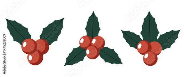 Fototapeta Mistletoe illustration design featuring three variations of holiday holly leaves and red berries in flat festive style.