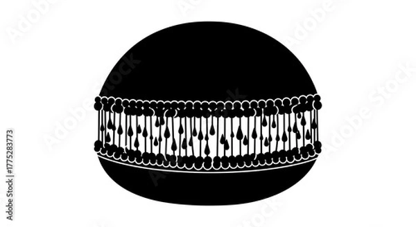 Obraz Molecular structure illustration