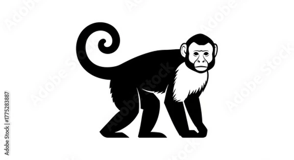 Obraz Monkey illustration black and white isolated