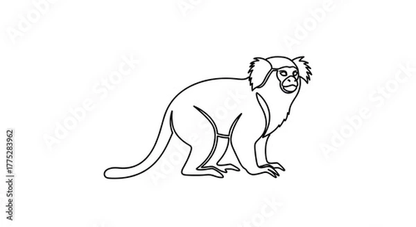 Obraz Monkey outline drawing isolated white background