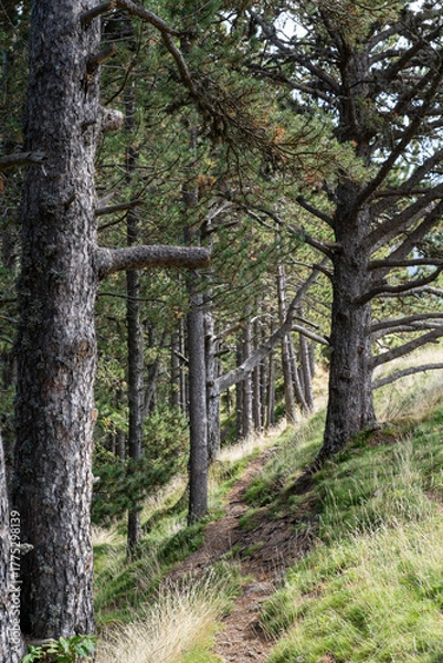 Obraz Andorra im Herbst