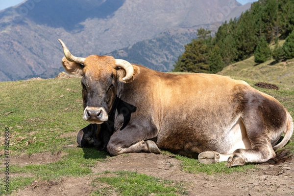 Obraz Andorra im Herbst