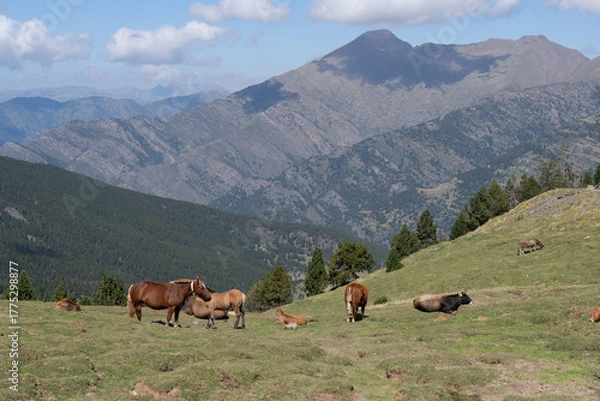Obraz Andorra im Herbst