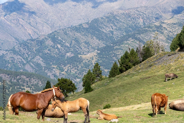Obraz Andorra im Herbst
