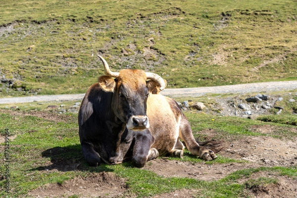 Obraz Andorra im Herbst