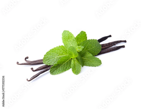 Obraz Vanilla pods with mint