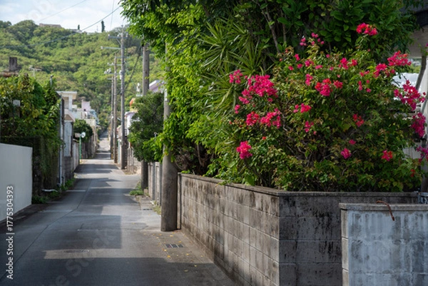 Obraz 先に山のある晴れて路上に建物の影が出来たブーゲンビリアの咲く田舎の路地裏の道