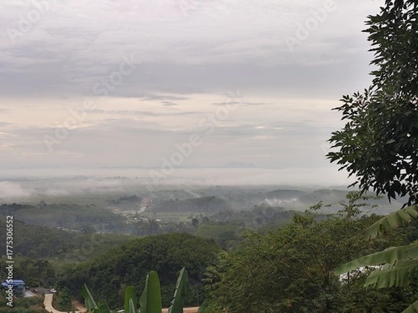 Obraz Aerial view of morning mist