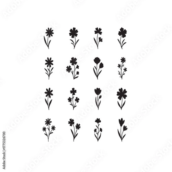 Fototapeta Black and white floral pattern with flowers leaves and decorative elements