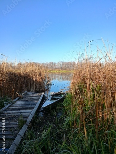 Obraz boat on the lake