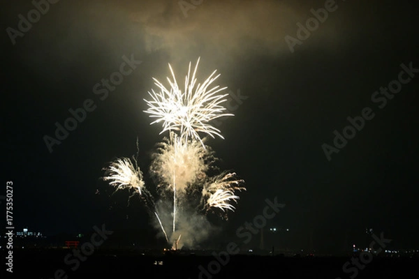 Obraz 夜空を彩る花火