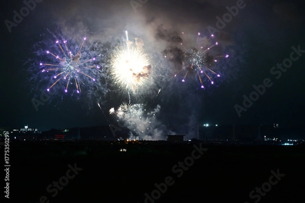 Obraz 夜空を彩る花火