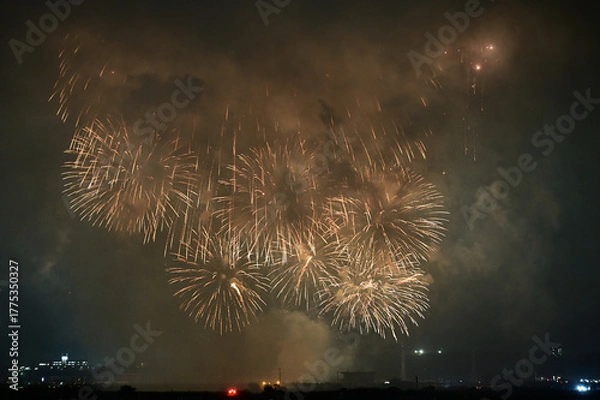 Obraz 夜空を彩る花火