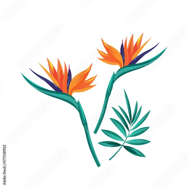 Fototapeta abstract flower design