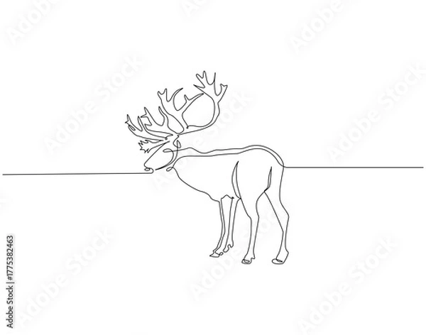 Fototapeta Reindeer continuous line. Continuous one line drawing of reindeer. Horned snow animal concept. Single line drawing