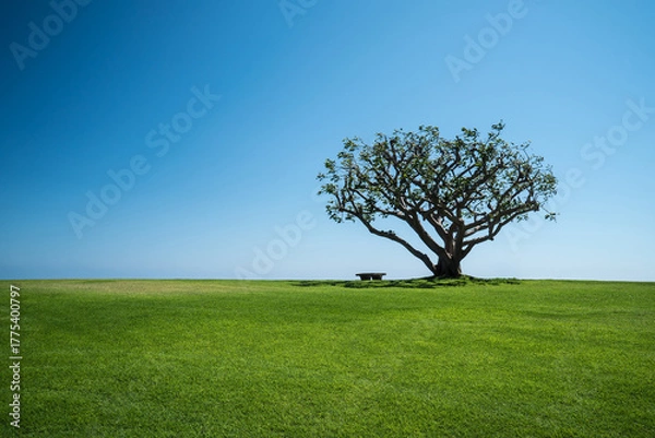Obraz Lonely tree on a lush green meadow, bright blue summer sky, minimalistic landscape, wide open negative space, calm atmosphere, soft warm lighting, vibrant natural colors, peaceful environment, Califor