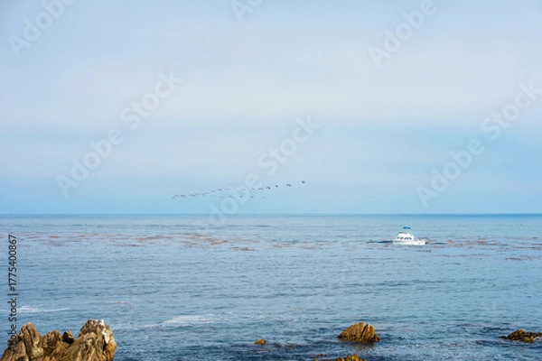 Fototapeta Monterey California coastal view with calm ocean surface, small boat on the horizon, flock of birds flying above the water, light blue sky, minimalistic seascape composition, tranquil atmosphere, nega