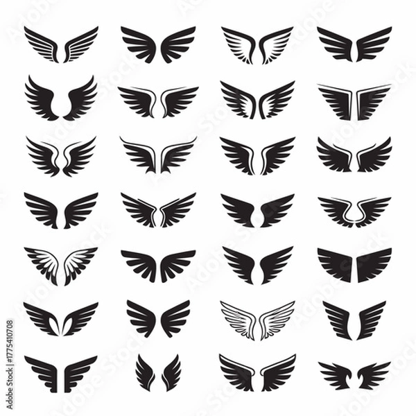 Fototapeta black and white wing and shield vector illustration set