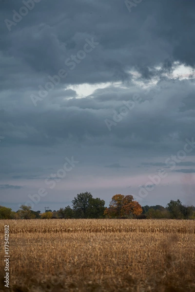 Fototapeta Autumn field with storm clouds