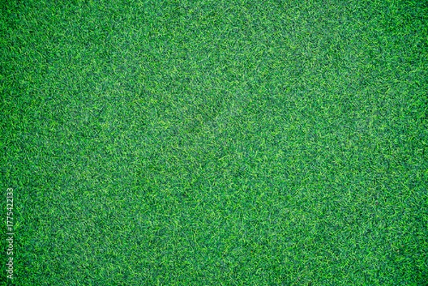 Fototapeta green grass texture can be use as background